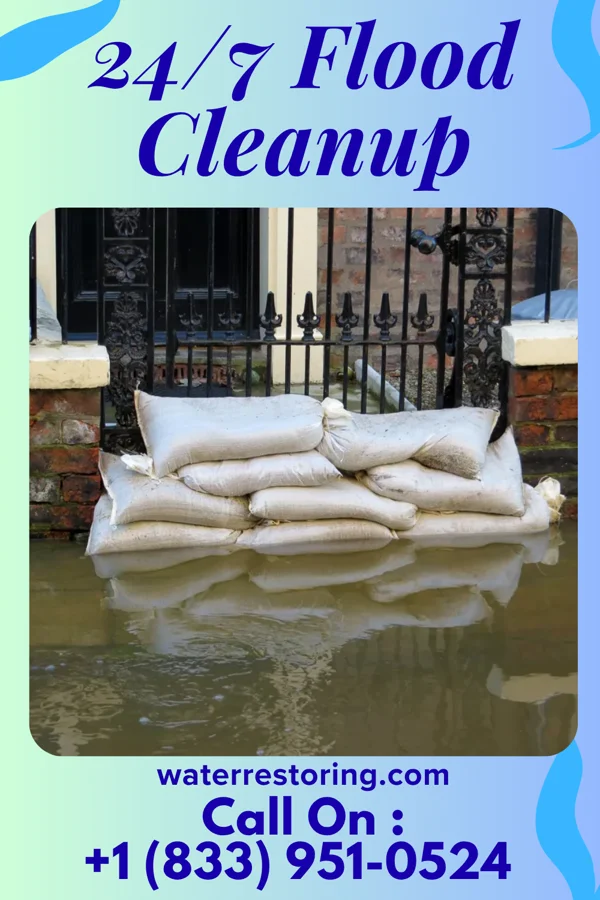 24/7 Flood Cleanup in Wood Dale, IL